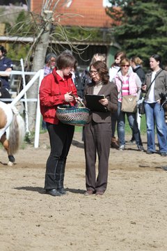 Bild 597 - WBO-Turnier am 9.4.11